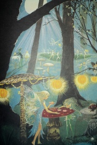 fairies and mushrooms